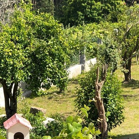 Casa Estrella Pensionat Tebra Exteriör bild