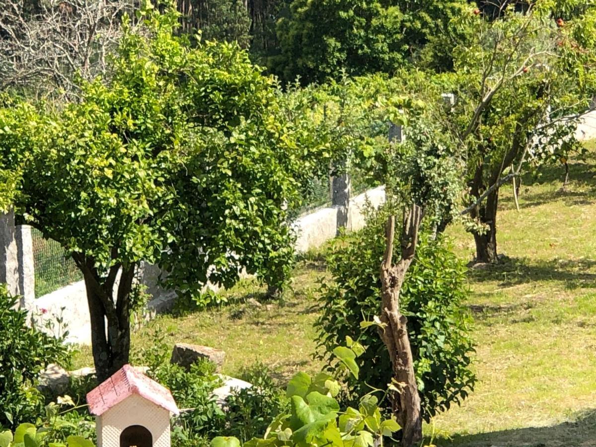 Casa Estrella Pensionat Tebra Exteriör bild
